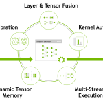Test NVIDIA Neuron X10